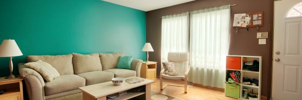 professional painting services streamwood